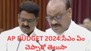 AP Budget 2024 : సీఎం ఏం చెప్పారో తెలుసా